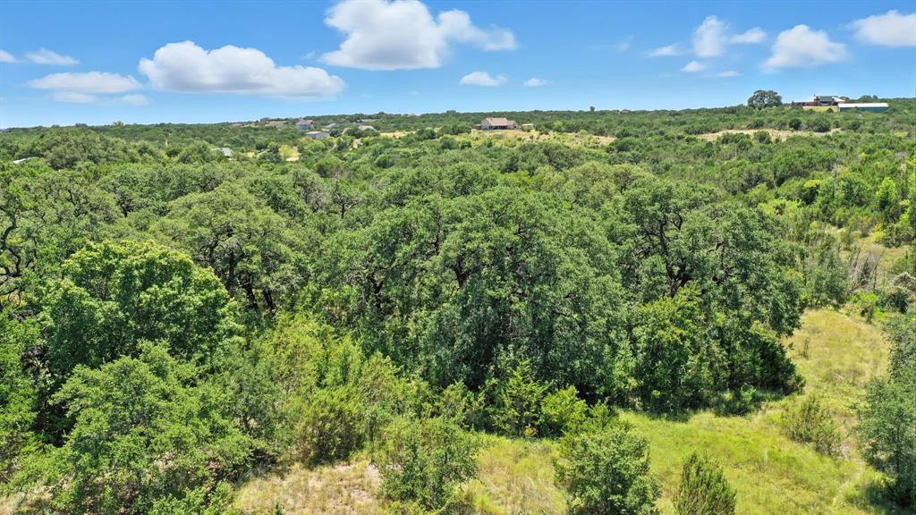 Tbd Compass Way Bluff Dale, TX 76433 - Photo 5 of 23 a view of a bunch of trees and bushes