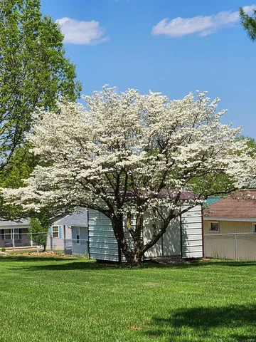 $299,900 | 209 Highley Lane, Desloge, MO 63628