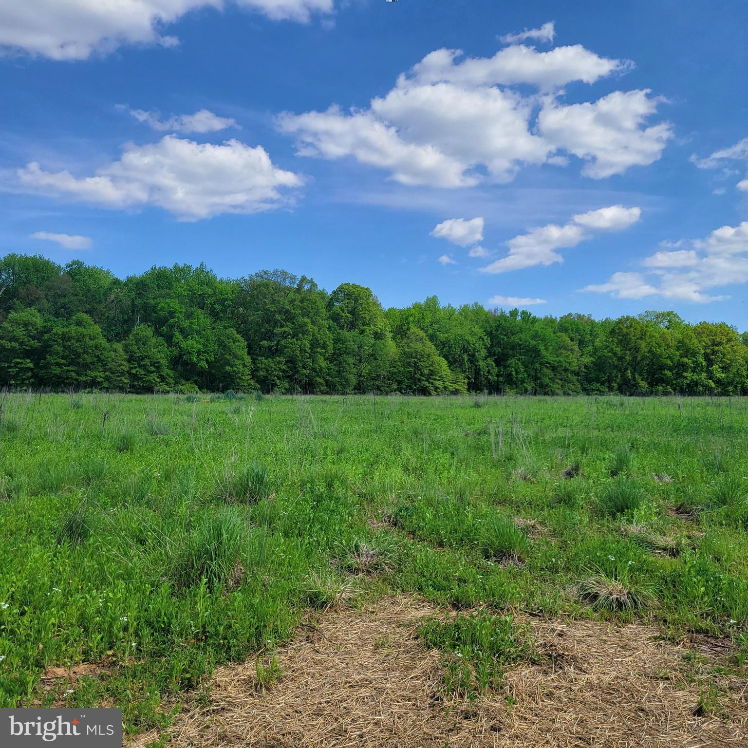 Aldino Road Aberdeen, MD 21001 - Photo 4 of 5 Gallery Image 4