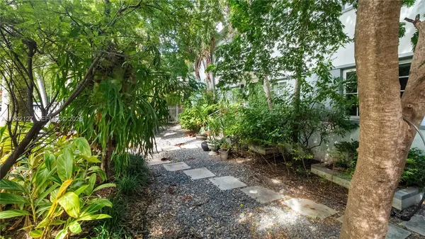 a view of a yard with plants and large trees