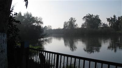 4398 Ave 428 Reedley, CA 93654 - Photo 1 of 45 Gallery Image 1