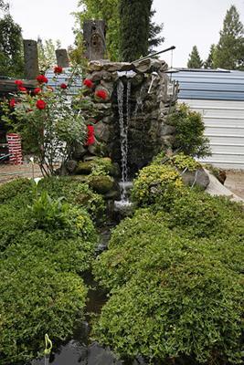 4398 Ave 428 Reedley, CA 93654 - Photo 38 of 45 Gallery Image 38