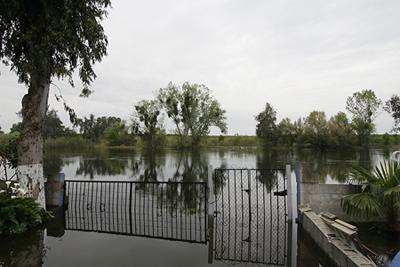 4398 Ave 428 Reedley, CA 93654 - Photo 43 of 45 Gallery Image 43