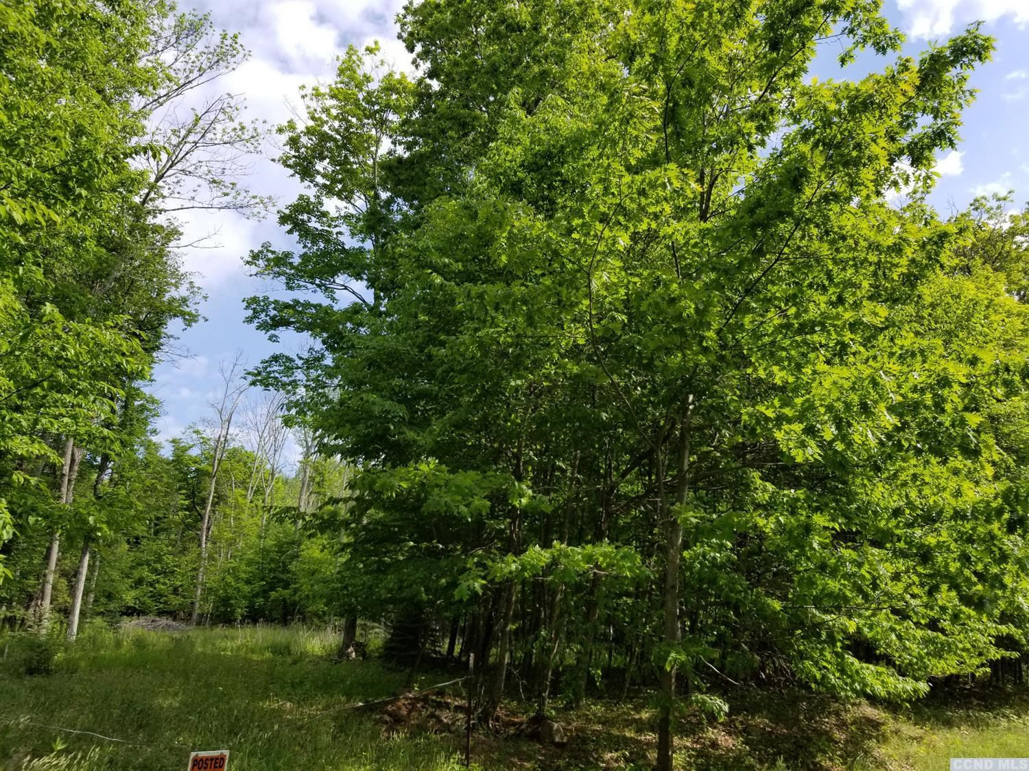 0 Zinno Road Windham, NY 12496 - Photo 7 of 13 Photo 7