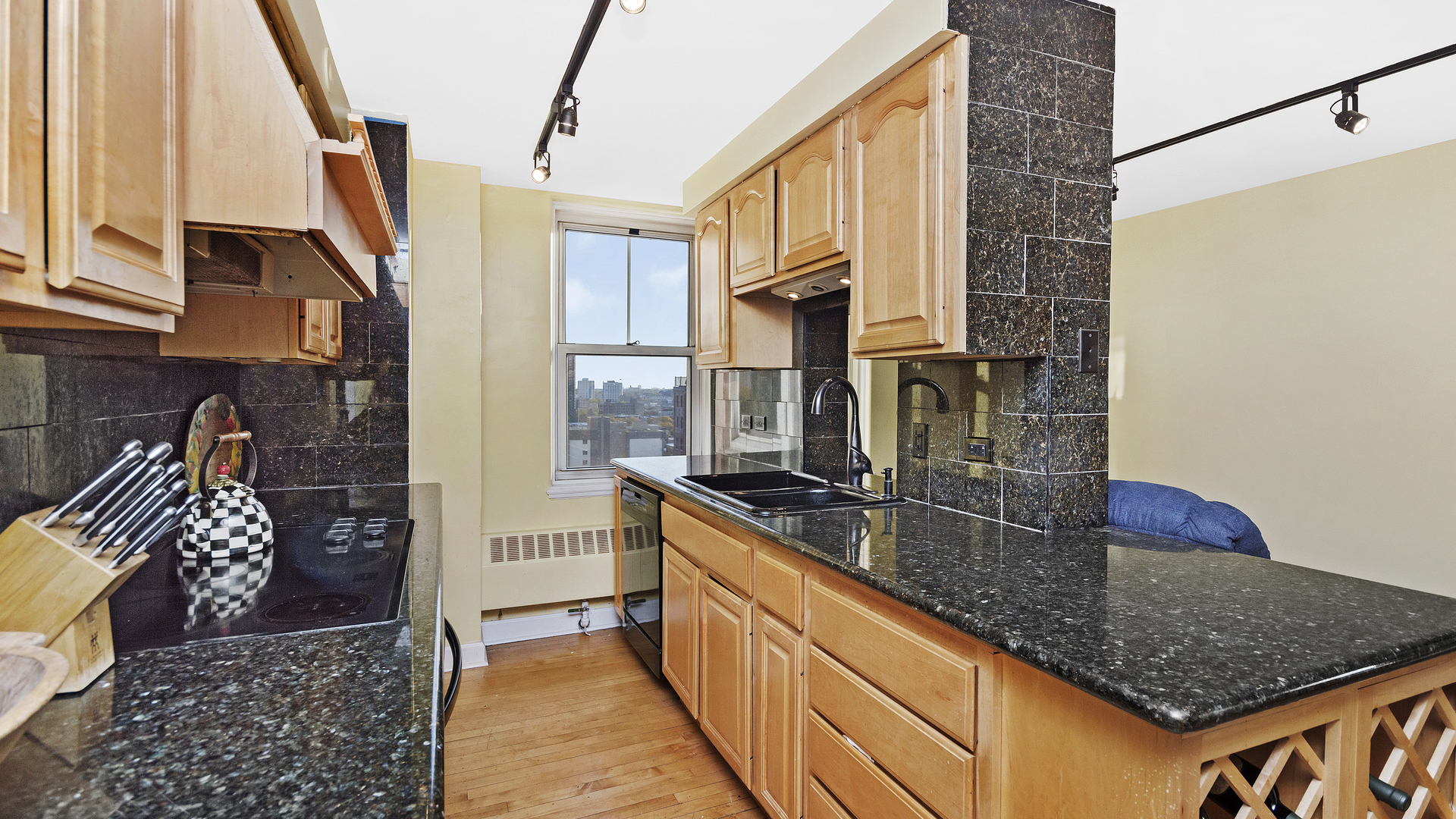 5555 North Sheridan Road, Unit 1207 Chicago, IL 60640 - Photo 9 of 20