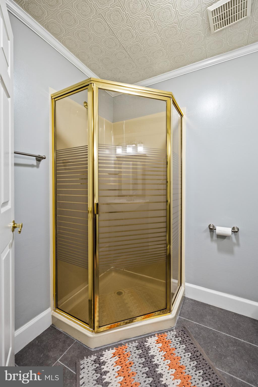 26 Ramsgate Court Halethorpe, MD 21227 - Photo 22 of 28 LL walk in shower