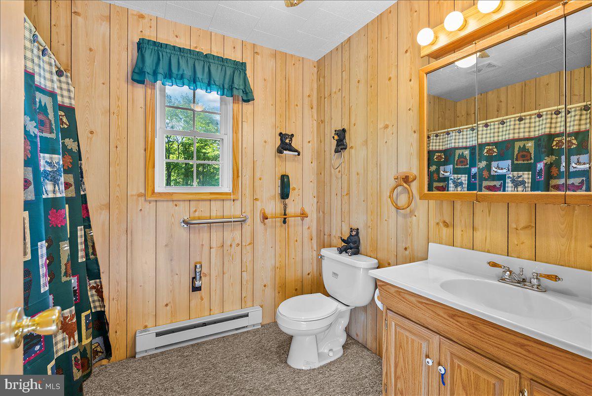 663 Bear Woods Road Mount Storm, WV 26739 - Photo 19 of 73 Rustic charm in a cozy bathroom.