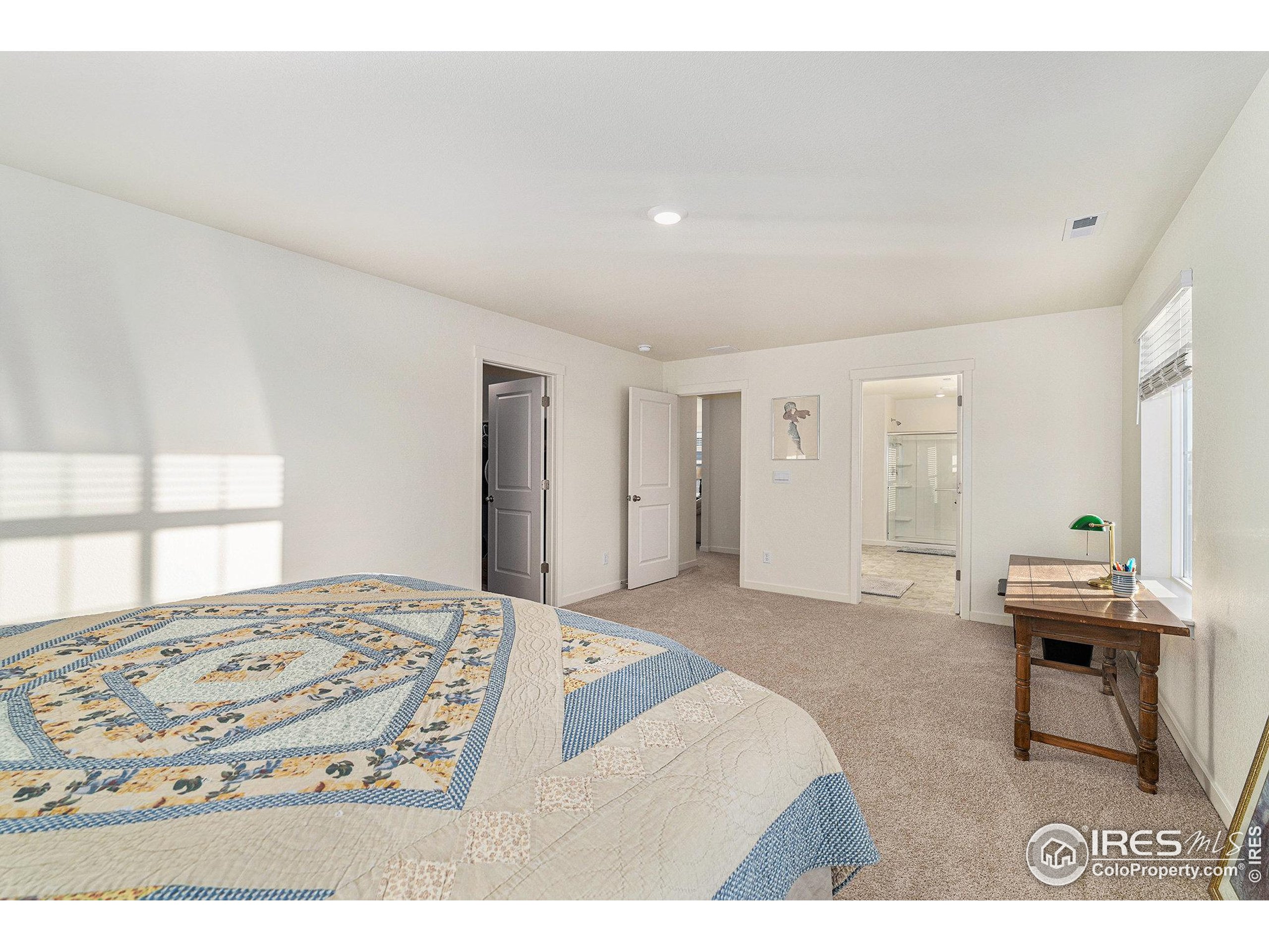 439 Bluebird Road Johnstown, CO 80534 - Photo 21 of 37