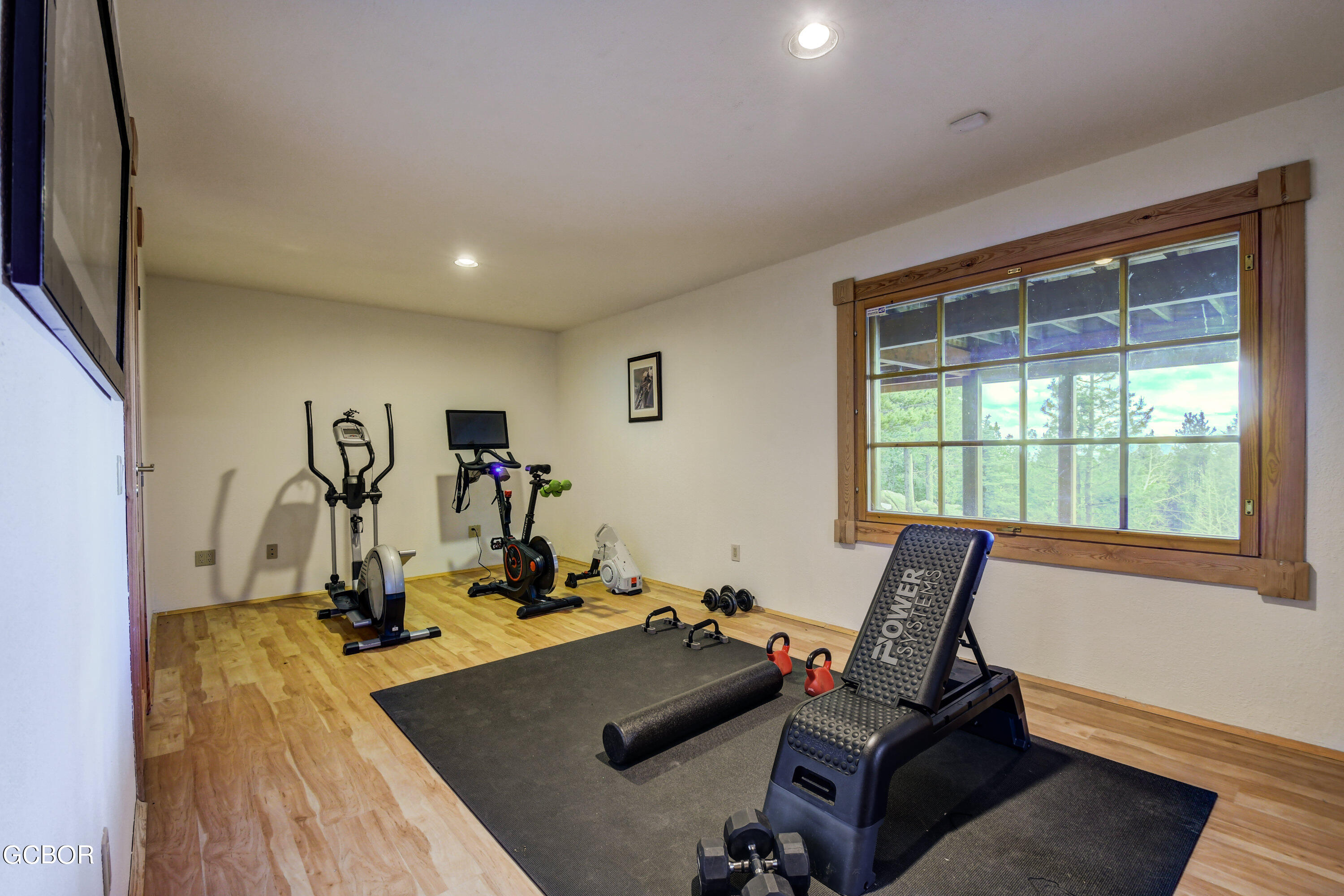11006 Timothys Drive Conifer, CO 80433 - Photo 38 of 45 a view of a room with gym equipment