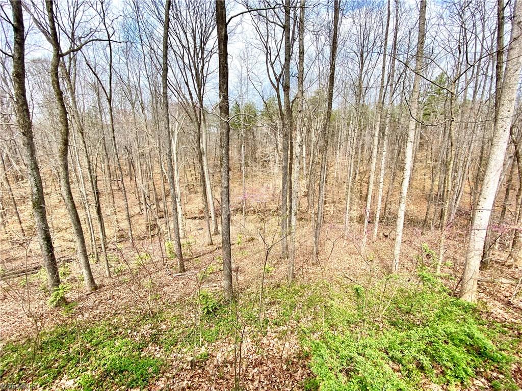 8318 Mccrory Road Stokesdale, NC 27357 - Photo 29 of 30 Back yard