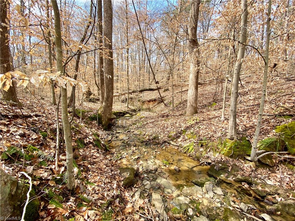 8318 Mccrory Road Stokesdale, NC 27357 - Photo 30 of 30 Lovely creek