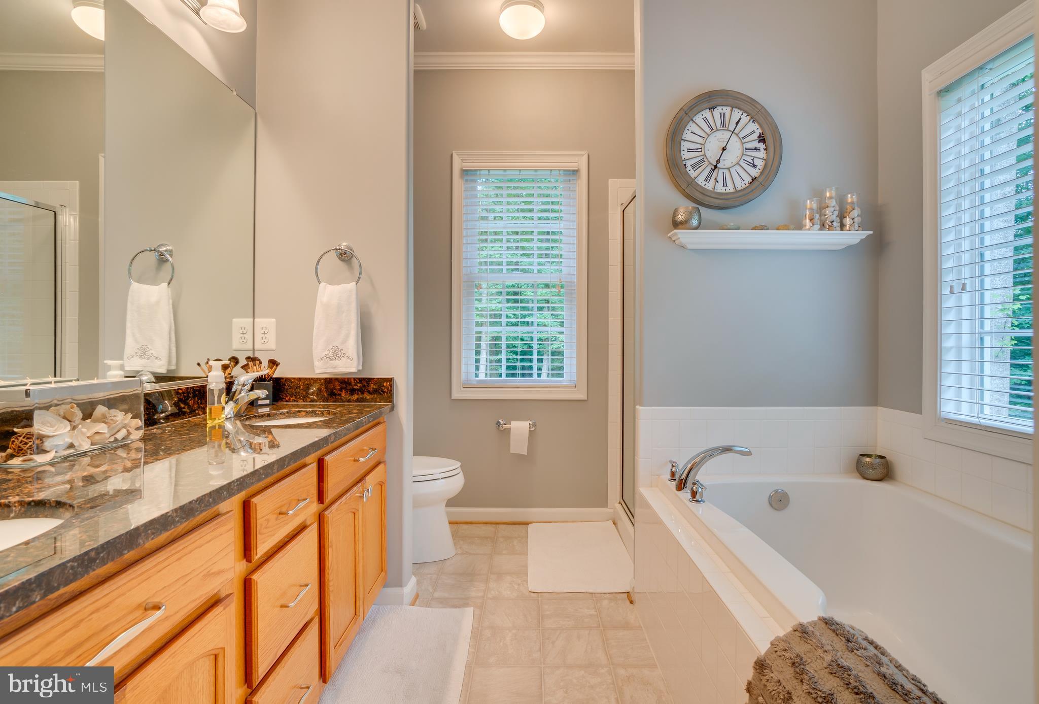 11529 Pine Hill Road King George, VA 22485 - Photo 27 of 63 Granite in Master Bath and soaker tub