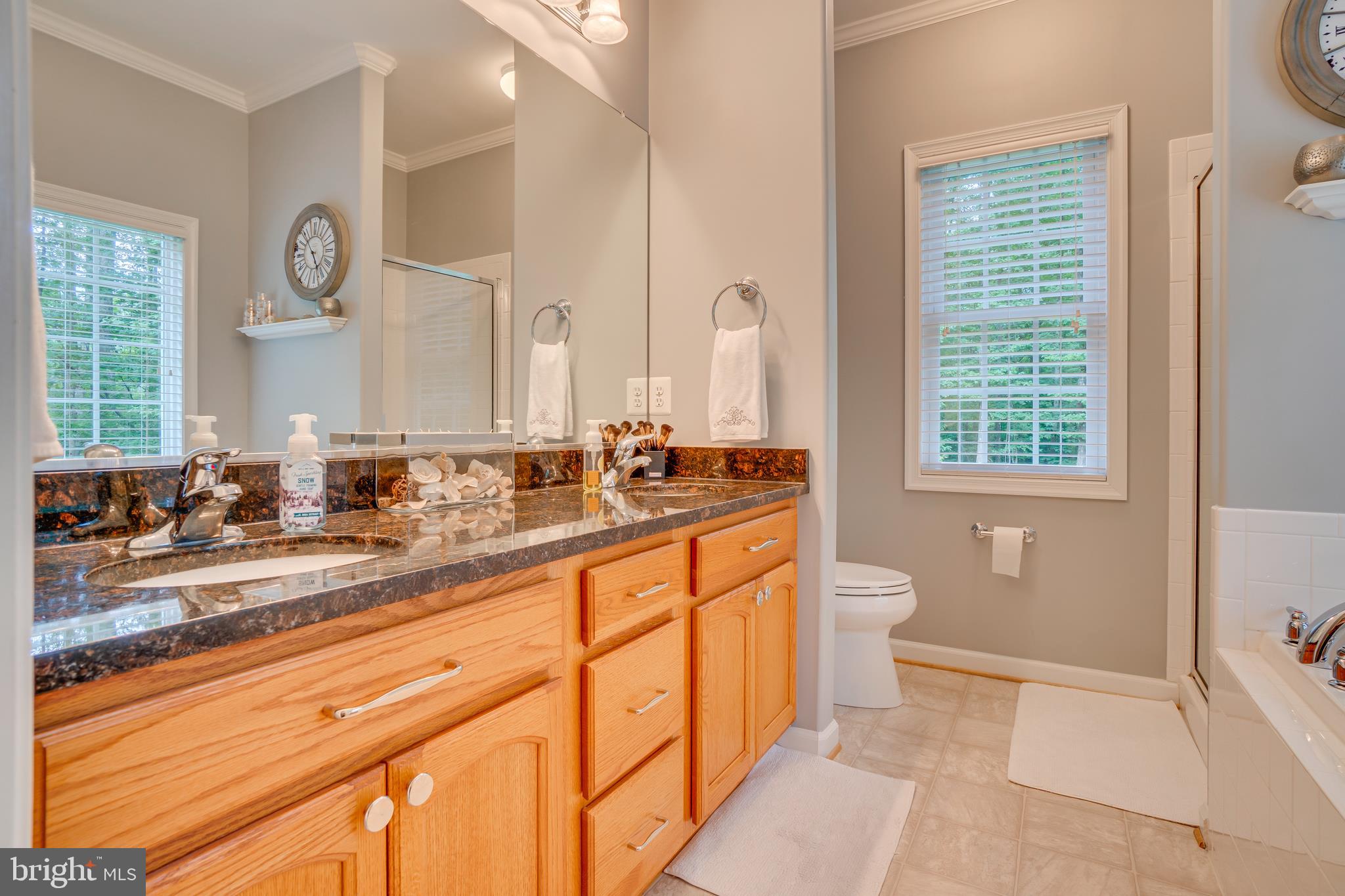 11529 Pine Hill Road King George, VA 22485 - Photo 28 of 63 Granite in Master Bath and soaker tub and separate