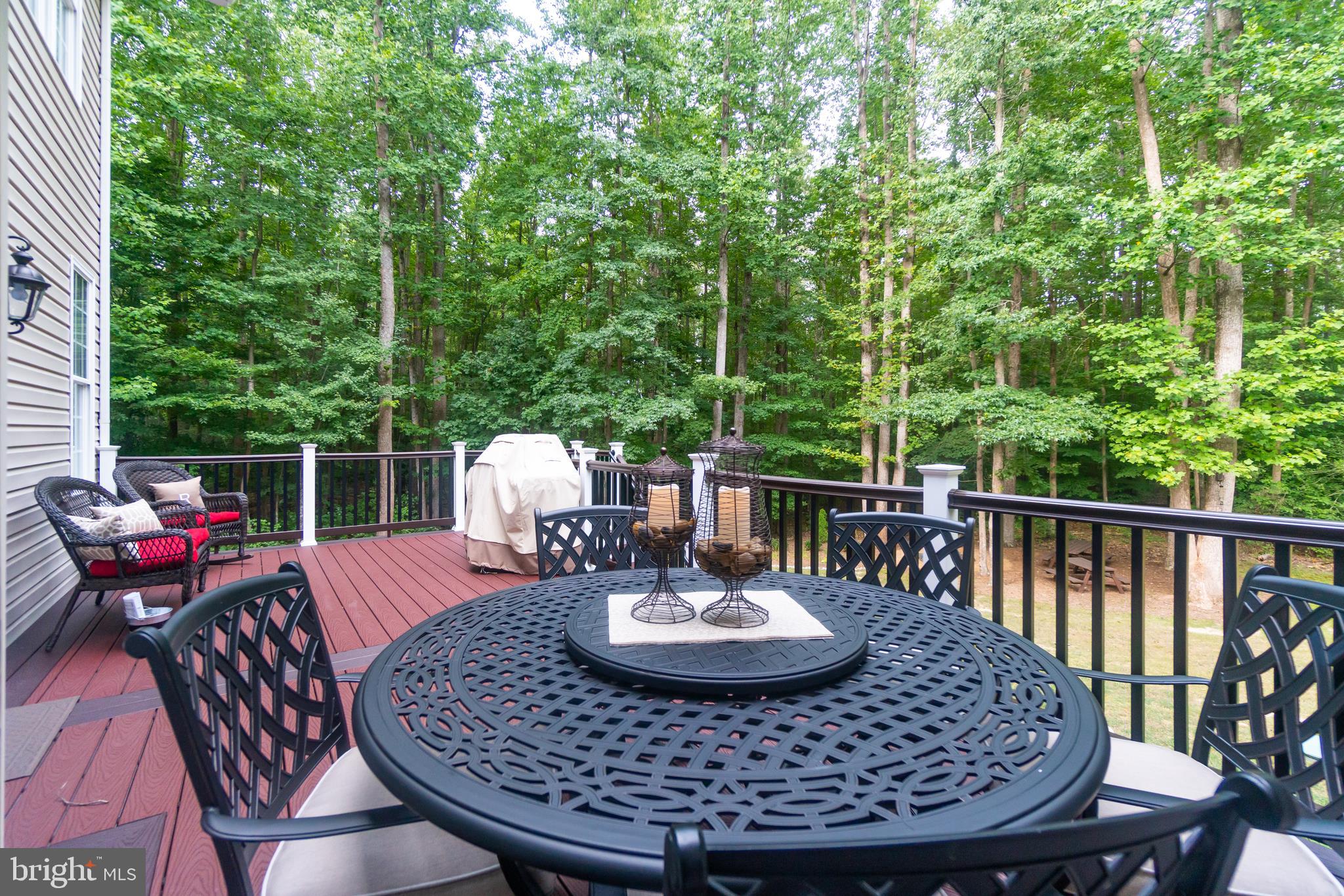 11529 Pine Hill Road King George, VA 22485 - Photo 45 of 63 Large 25 x 12 TREX Deck wit dining table