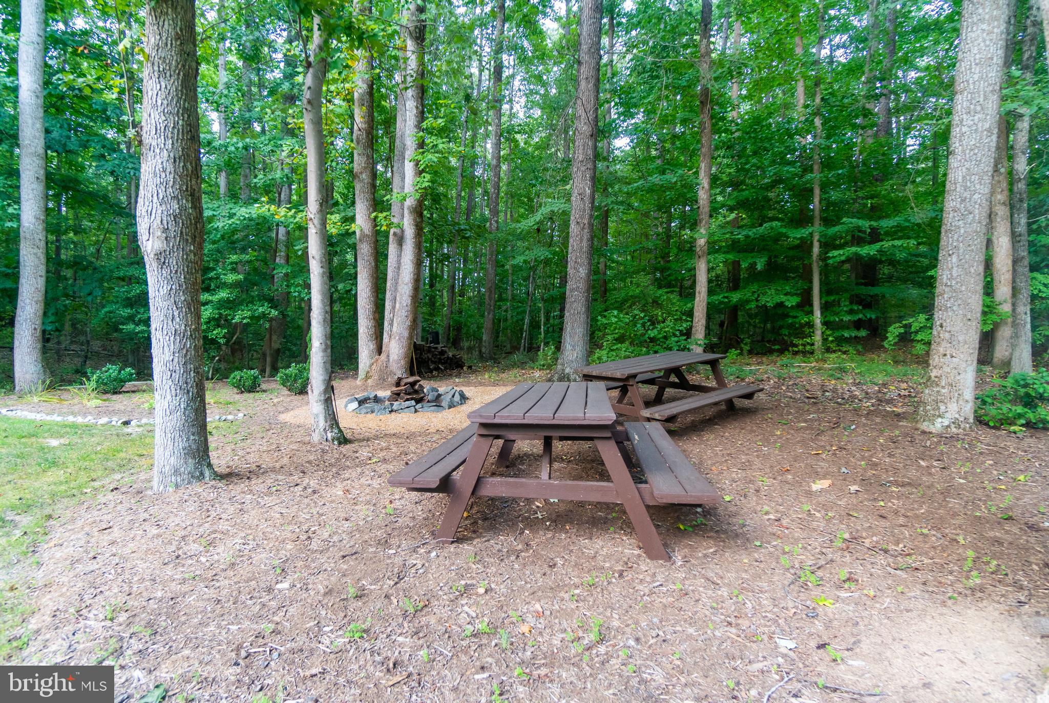 11529 Pine Hill Road King George, VA 22485 - Photo 49 of 63 Picnic Area