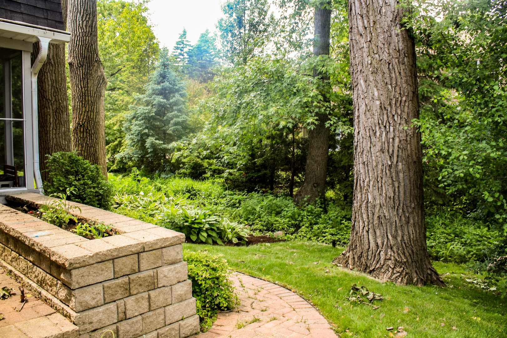 1 Juniper Road Rolling Meadows, IL 60008 - Photo 3 of 29 a view of backyard with a tub and trees