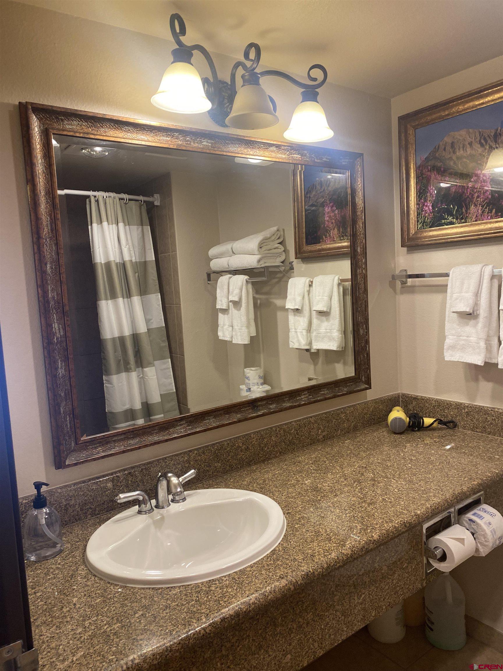 6 Emmons Road, Unit 114 Crested Butte, CO 81225 - Photo 15 of 23 Gallery Image 15