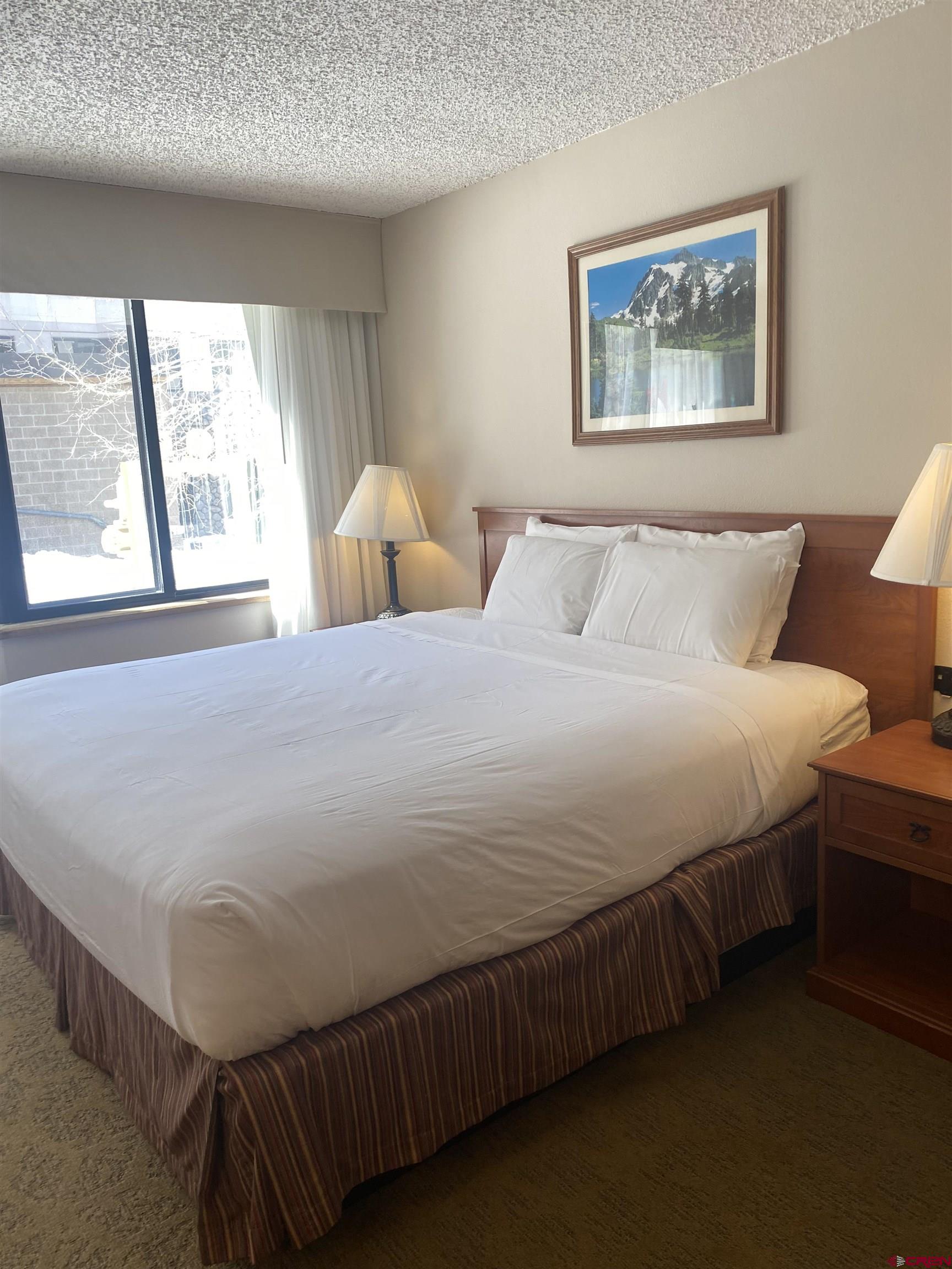 6 Emmons Road, Unit 114 Crested Butte, CO 81225 - Photo 2 of 23 Gallery Image 2