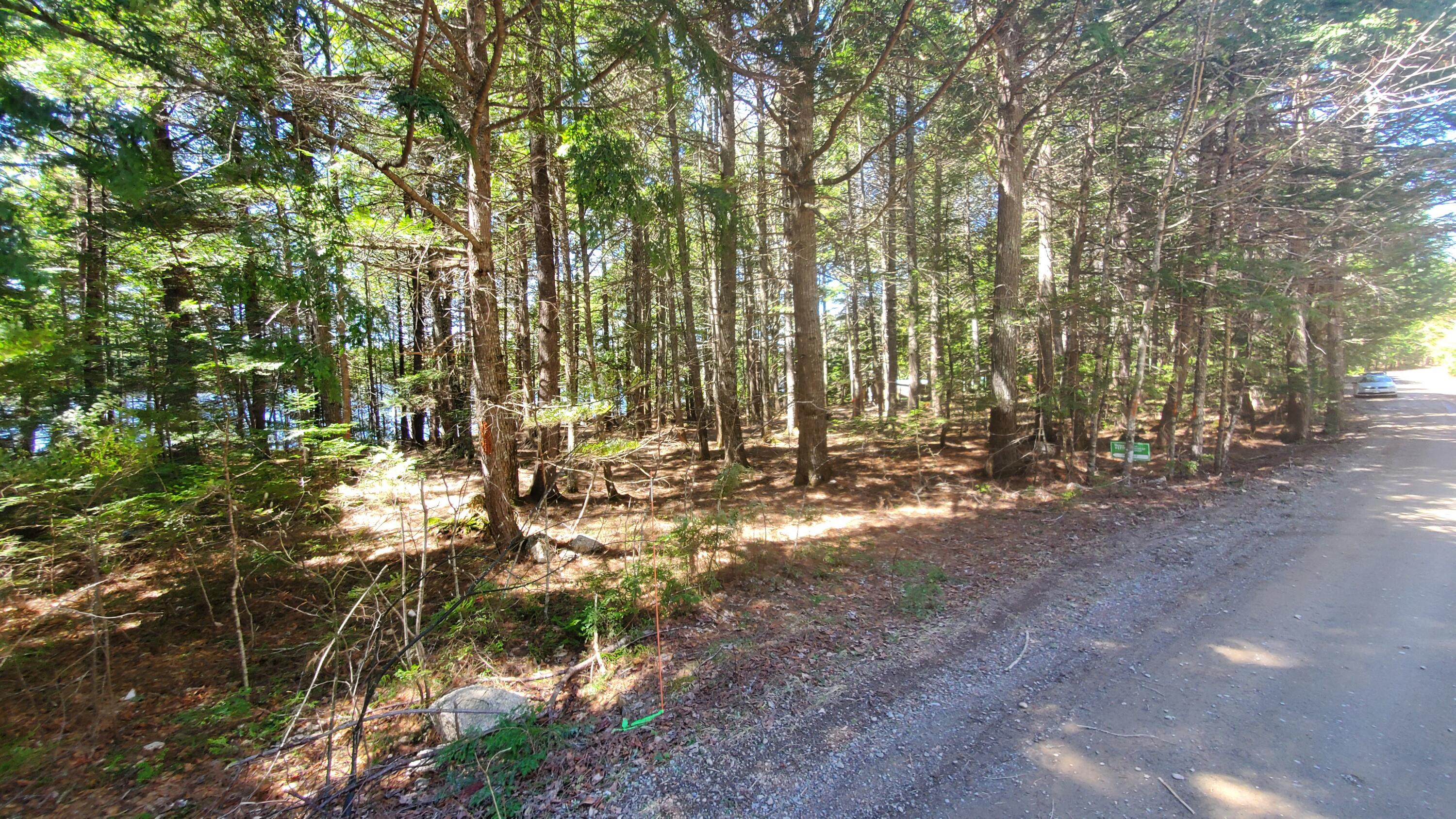 307 Lakeville Shores Road Lakeville, ME 04487 - Photo 25 of 39 20250430_113358