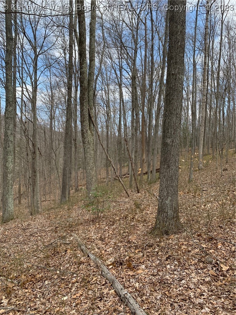 444 Carolina Mountain Road Sutton, WV 26601 - Photo 12 of 17 Gallery Image 12