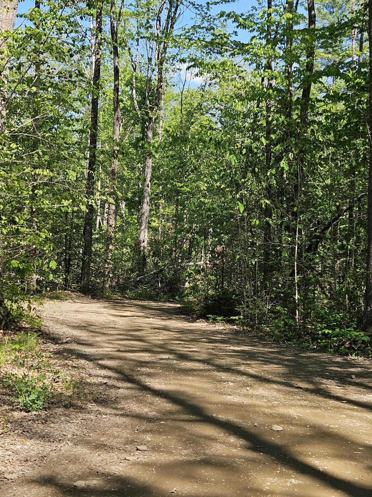 299 Etna Pond Road Carmel, ME 04419 - Photo 2 of 4 20250528_152956