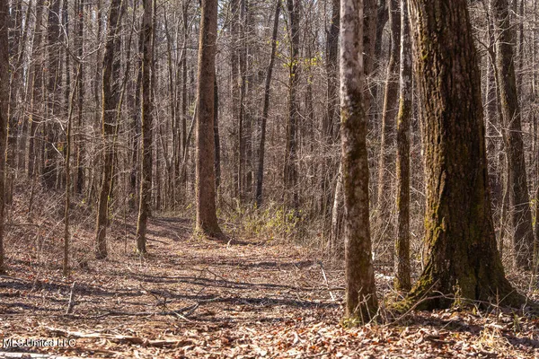 $750,000 | 0 Green Door Road, Eupora, MS 39744