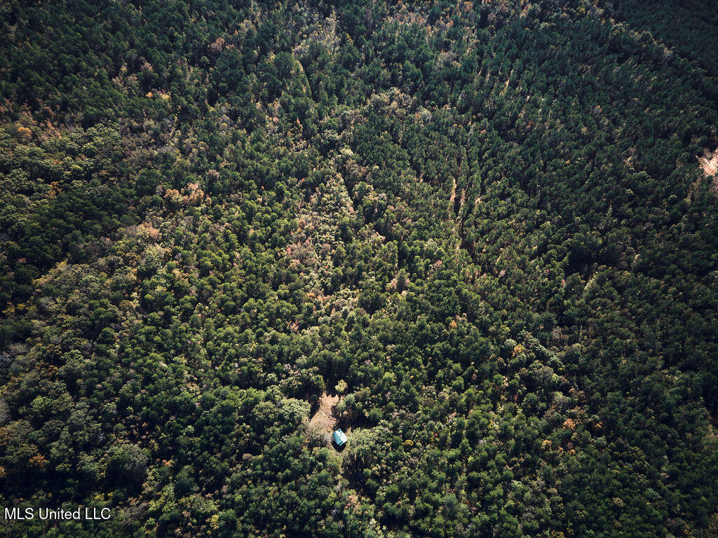 0 Green Door Road Eupora, MS 39744 - Photo 11 of 48 DJI_0014