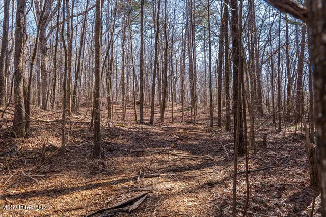 $750,000 | 0 Green Door Road, Eupora, MS 39744