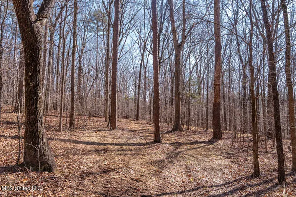 $750,000 | 0 Green Door Road, Eupora, MS 39744