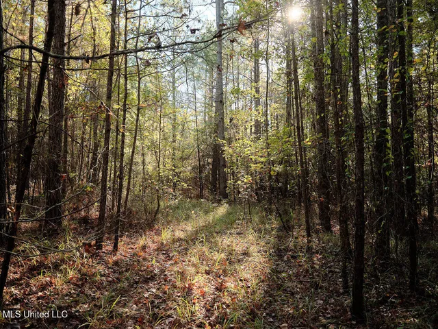 $804,600 | 0 Green Door Road, Eupora, MS 39744