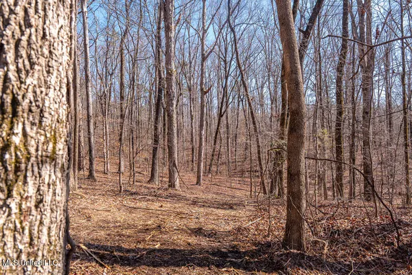 $750,000 | 0 Green Door Road, Eupora, MS 39744