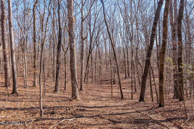 $750,000 | 0 Green Door Road, Eupora, MS 39744