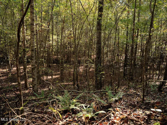 $804,600 | 0 Green Door Road, Eupora, MS 39744