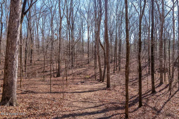 $750,000 | 0 Green Door Road, Eupora, MS 39744