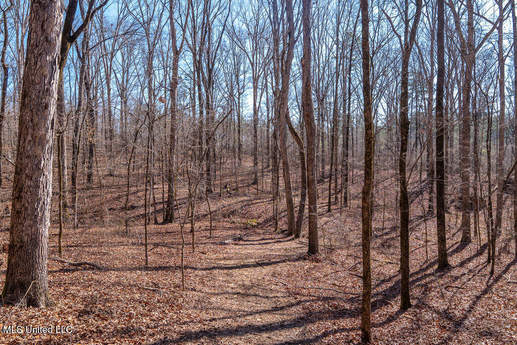 0 Green Door Road Eupora, MS 39744 - Photo 16 of 67 P1202299