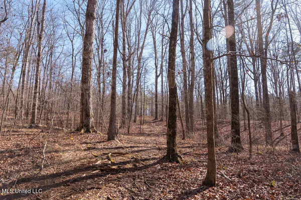 $750,000 | 0 Green Door Road, Eupora, MS 39744