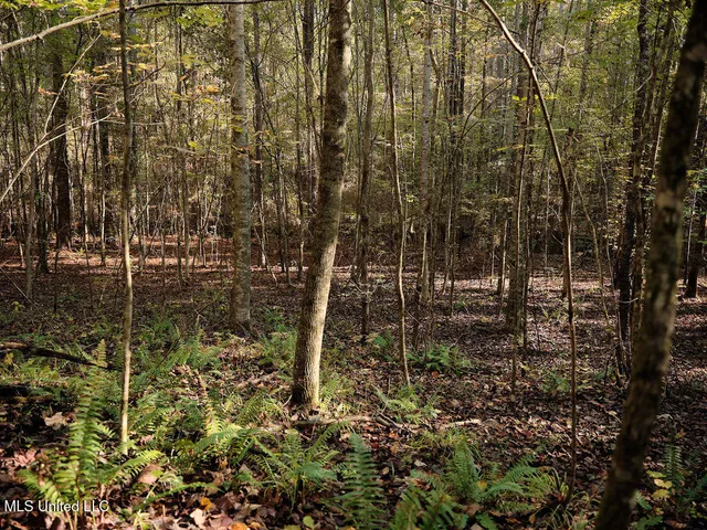 $804,600 | 0 Green Door Road, Eupora, MS 39744