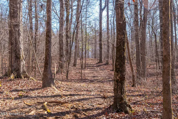 $750,000 | 0 Green Door Road, Eupora, MS 39744