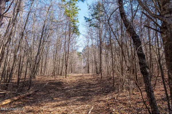 $750,000 | 0 Green Door Road, Eupora, MS 39744