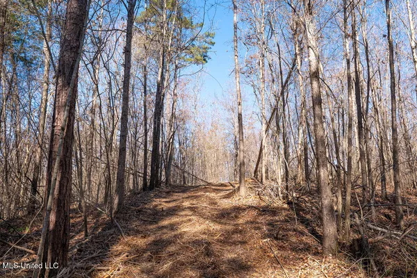 $750,000 | 0 Green Door Road, Eupora, MS 39744