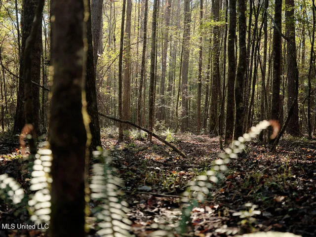 $804,600 | 0 Green Door Road, Eupora, MS 39744