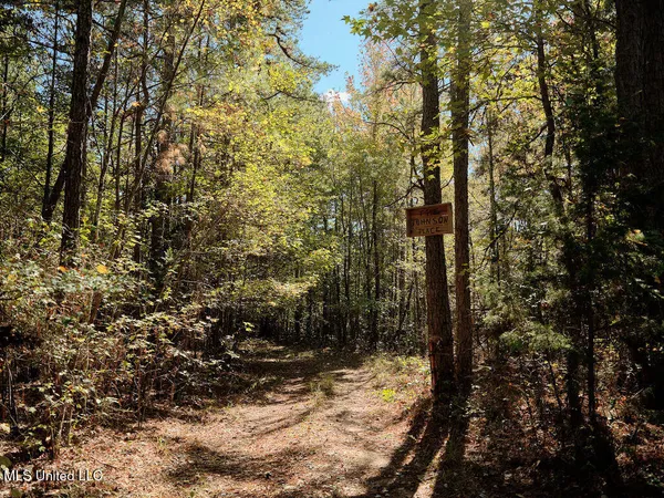 $750,000 | 0 Green Door Road, Eupora, MS 39744