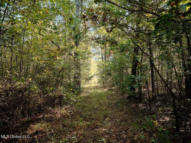 $804,600 | 0 Green Door Road, Eupora, MS 39744