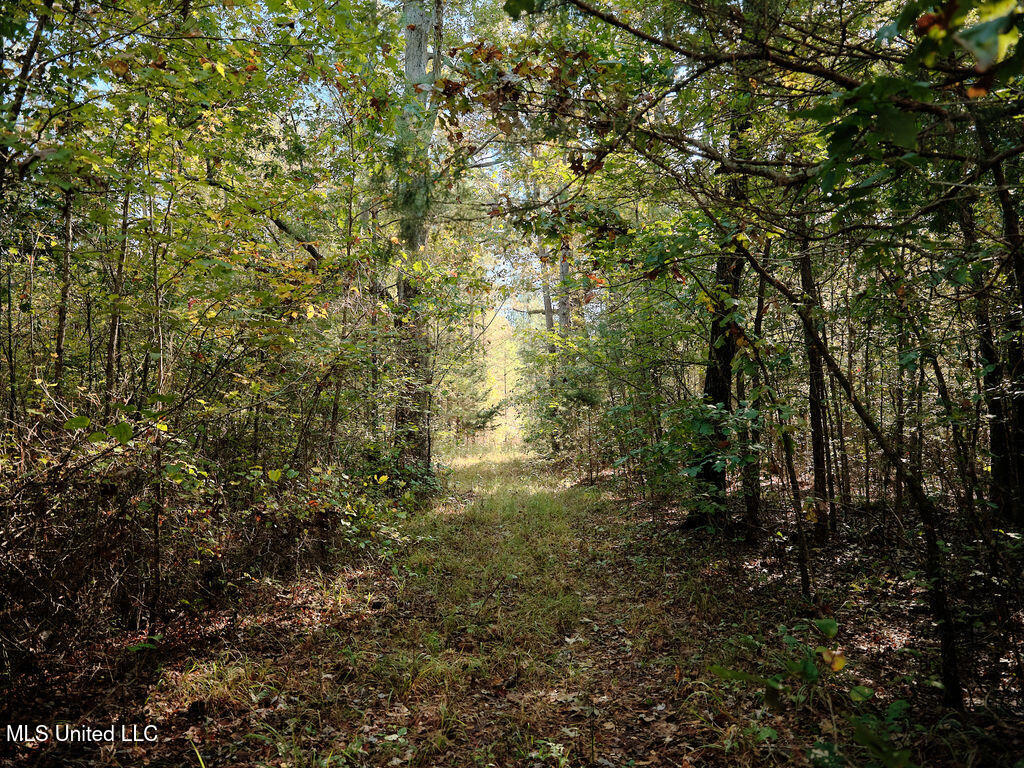 0 Green Door Road Eupora, MS 39744 - Photo 23 of 48 DSCF3268