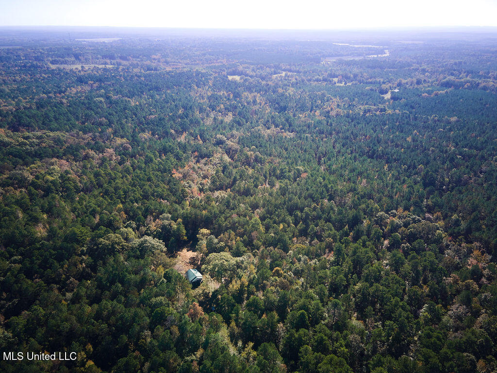 0 Green Door Road Eupora, MS 39744 - Photo 24 of 67 DJI_0007