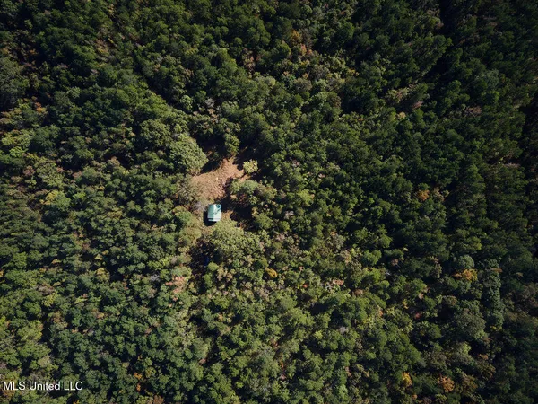 $750,000 | 0 Green Door Road, Eupora, MS 39744