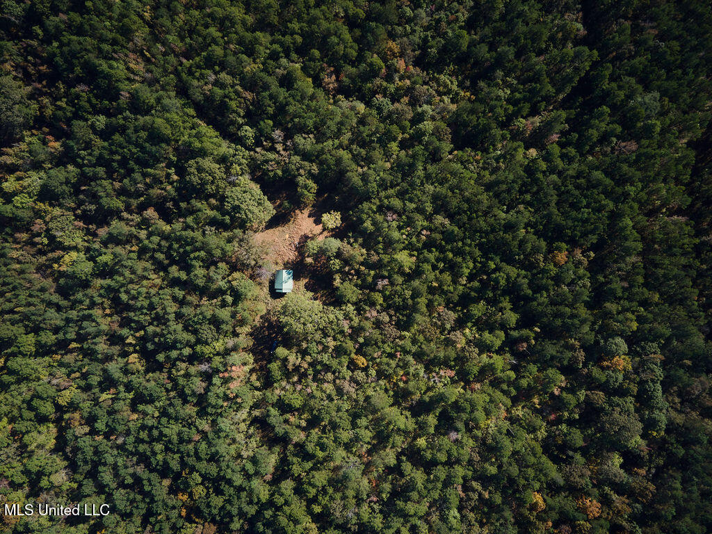 0 Green Door Road Eupora, MS 39744 - Photo 25 of 67 DJI_0008