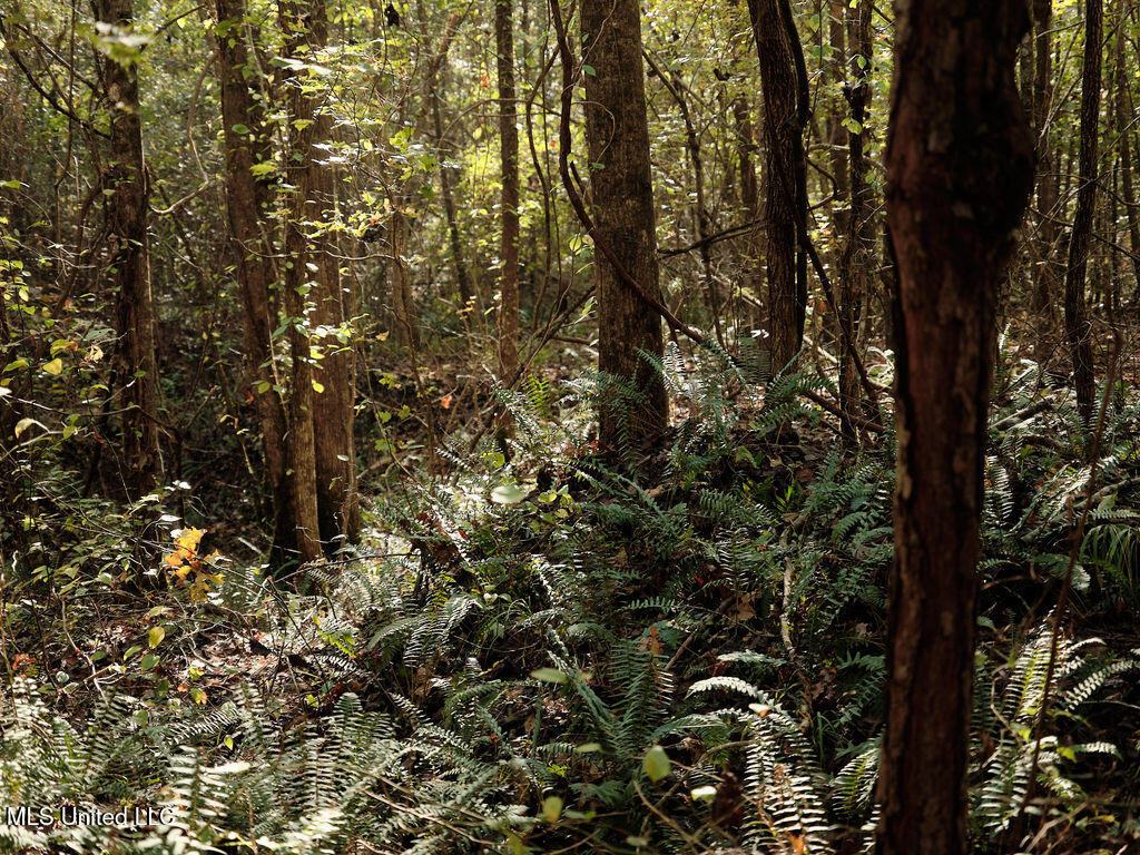 0 Green Door Road Eupora, MS 39744 - Photo 25 of 48 DSCF3279