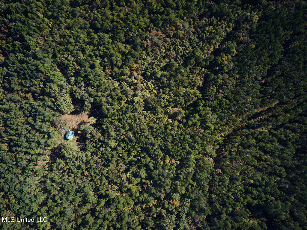 0 Green Door Road Eupora, MS 39744 - Photo 26 of 67 DJI_0010