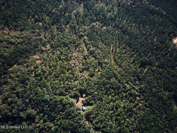 $750,000 | 0 Green Door Road, Eupora, MS 39744